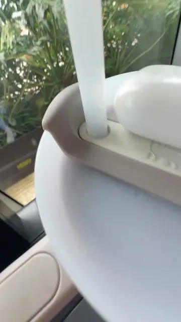 @alejandracriscuolo22 video cover