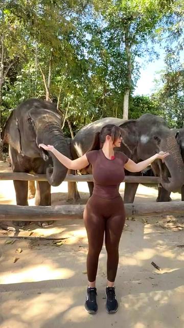 @auntmaydupe video cover