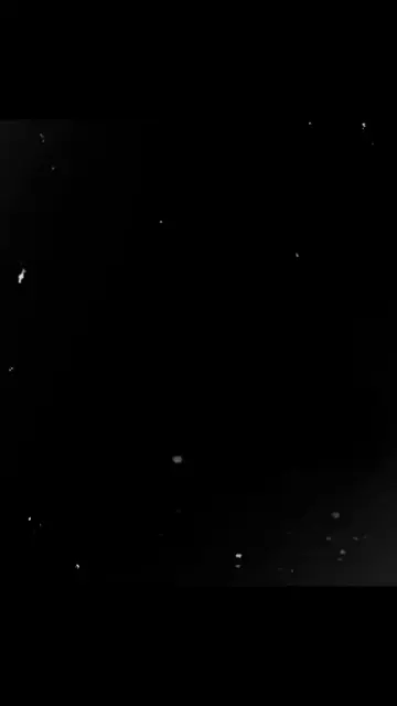 @bbybellabzk video cover