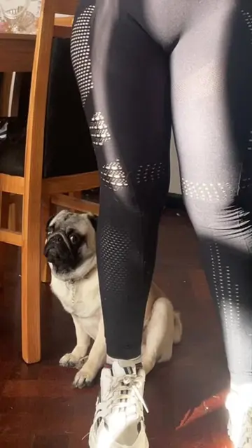 @candyrobbs video cover