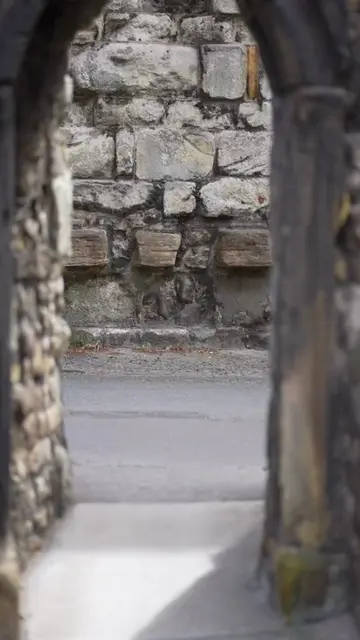 @friendlyredhead_ video cover