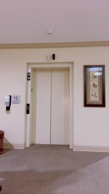 @lovepollito17 video cover