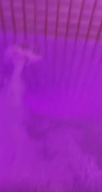 @miss_alena1011 video cover