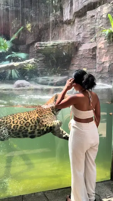 @nyahcam video cover
