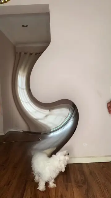 @nyahcam video cover
