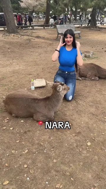 @strawberrytabby video cover